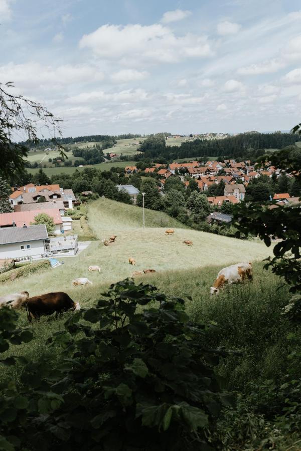 Ferienwohnung Alpenblick I Kamin I Private Sauna Wangen im Allgaeu Bagian luar foto