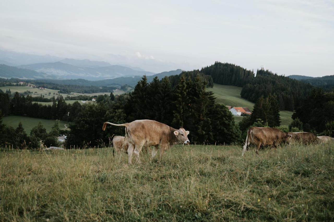 Ferienwohnung Alpenblick I Kamin I Private Sauna Wangen im Allgaeu Bagian luar foto